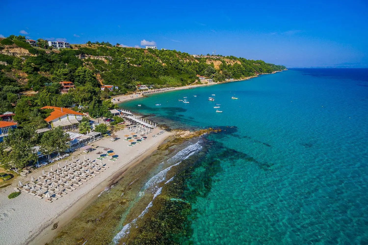 Άφυτος